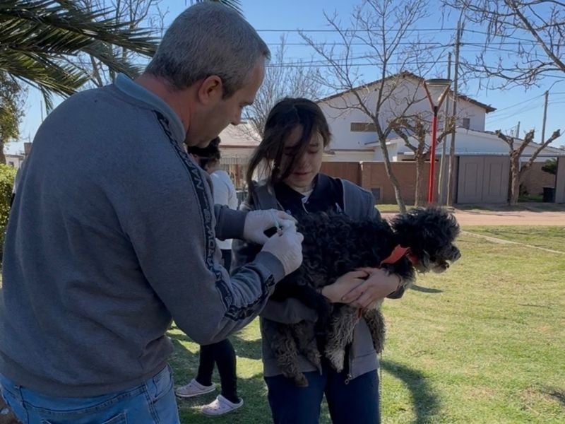 Jornada de vacunación antirrábica gratuita en Villa del Totoral